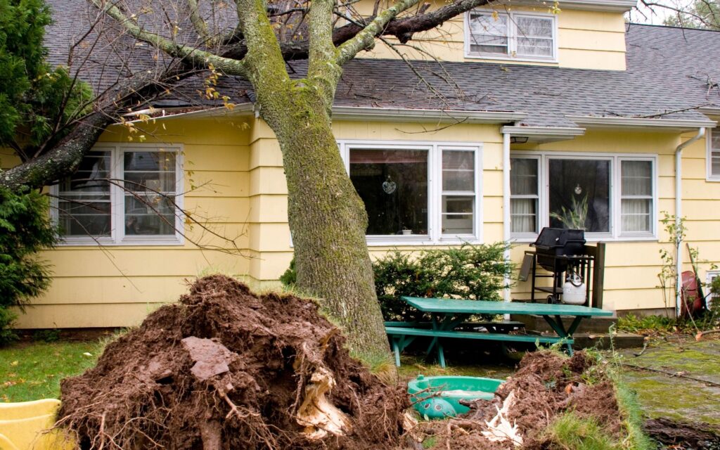 Uprooted tree fallen against yellow house during storm season on the Sunshine Coast showing potential electrical hazards and property damage